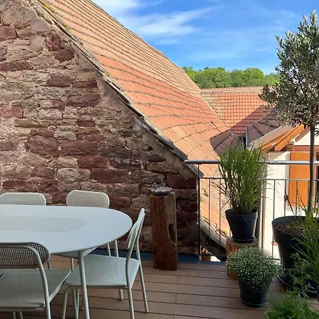 Maison 3 Et Terrasse Idéale Couple D'amis Blaesheim